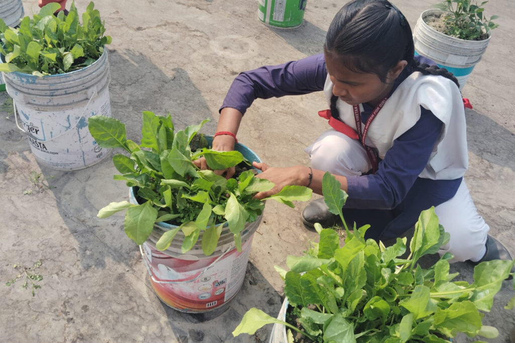 jbsn school tree plantation